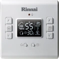Газовый настенный двухконтурный котел Rinnai RB 257 EMF 29-1 кВт - миниатюра фото 2