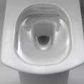 Унитаз подвесной TOTO Neorest AC CW996PVD NW1 с технологиями Actilight и Washlet - миниатюра фото 9