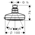 Верхний душ HG Croma 100 Vario: 4 режима (Дождь, Шампунь, Обычная, Массажная), шарнирное соединение, хром (27441000) - миниатюра фото 2