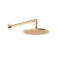 Верхний душ GESSI Ingranaggio с кронштейном 250 мм, цвет Brushed Brass PVD (63348#727) - миниатюра фото 1