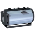 Газовый стальной комбинированный котел Ferroli PREXTHERM RSW 3600 - миниатюра фото 1