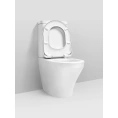 Унитаз-компакт Am.Pm Inspire C508607WH с крышкой-сиденьем - миниатюра фото 6