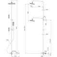 Душевая стойка Lemark Swan LM5462BG с выдвижной лейкой - миниатюра фото 2