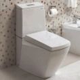 Унитаз-компакт TOTO Jewelhex CW680PB с бачком и сиденьем - миниатюра фото 3