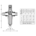 Фильтр для воды Honeywell Braukmann с редуктором на горячую воду FK 06 1/2
