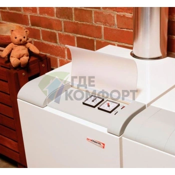 Газовый напольный одноконтурный чугунный котел Protherm Медведь 30 ТLO - фото 3