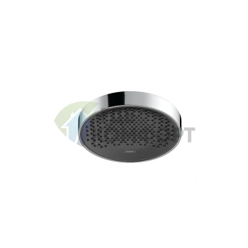Верхний душ HG Rainfinity 250 мм с потолочным держателем, 1 форсунка, хром (26228000) - фото 1