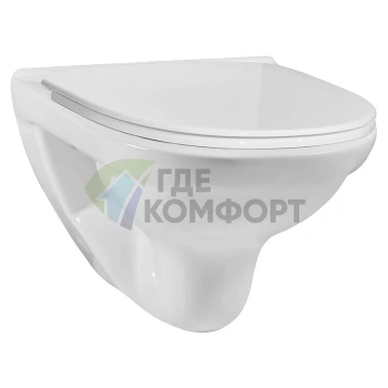 Подвесной унитаз Am.Pm Sense L с микролифтом C741738SC