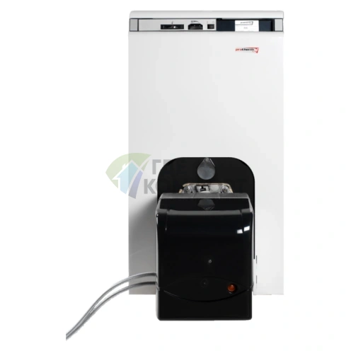 Комбинированный газовый котел Protherm Бизон 30NL - фото 1